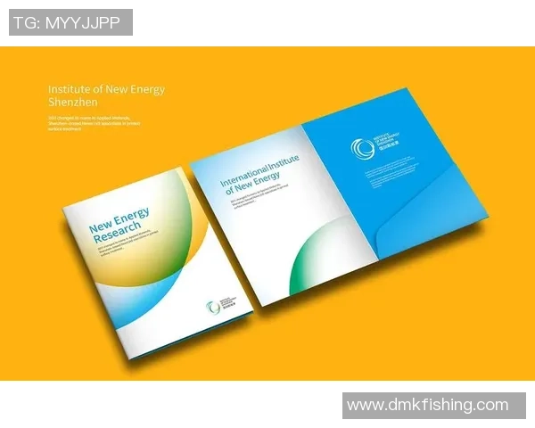 快盈VIII视觉标识系统的Logo与界面设计理念探讨与实践分析